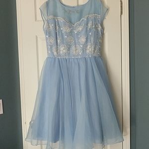 NWT Disney Adult Cinderella Dress Size XL
